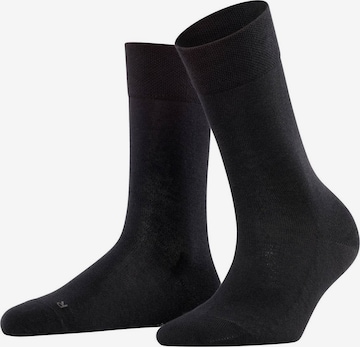 FALKE Socks in Black: front