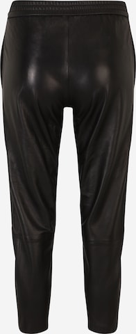 AllSaints - regular Pantalón 'JEN' en negro