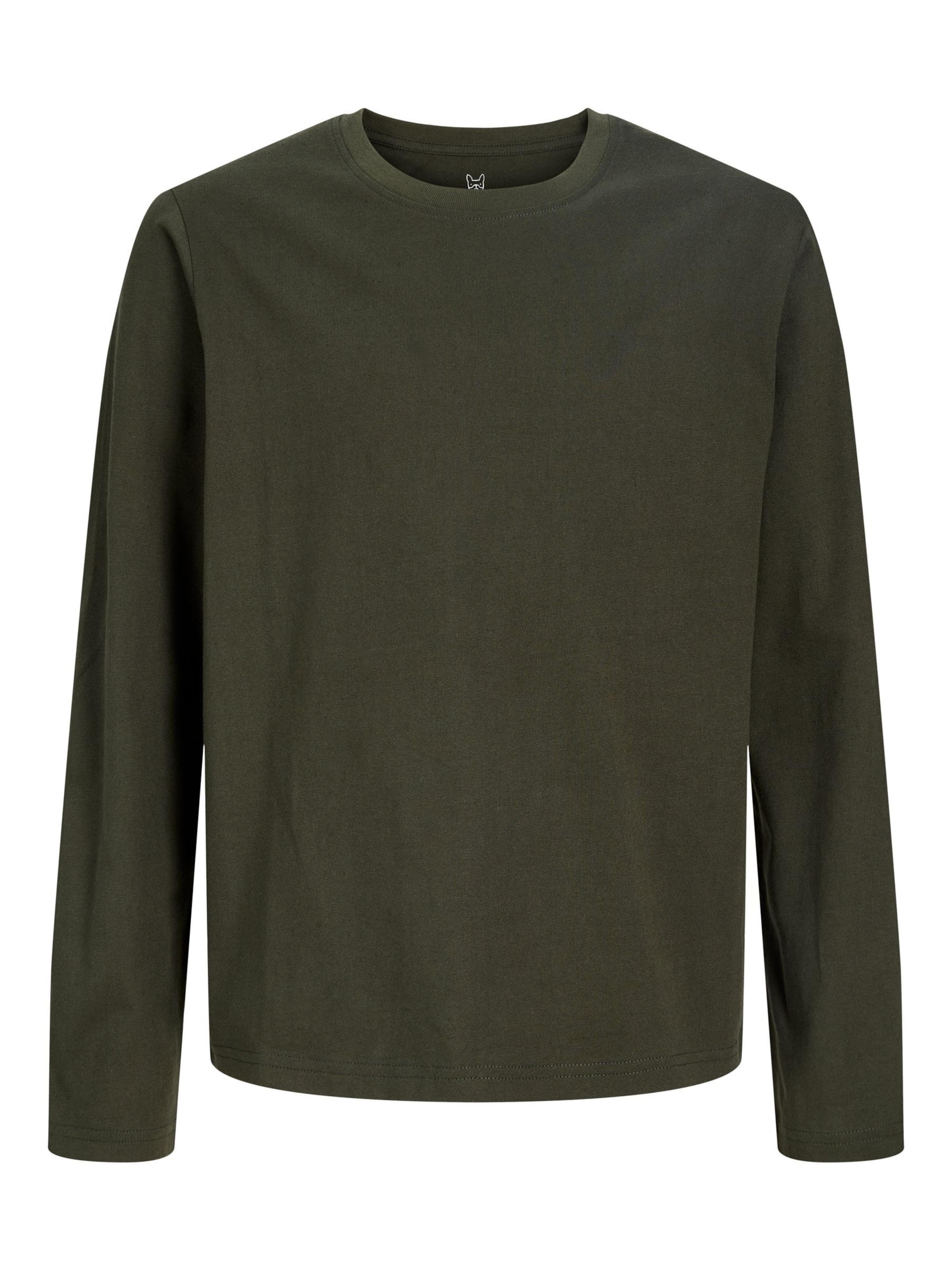 Coupe regular T-Shirt Jack & Jones Junior en vert : devant