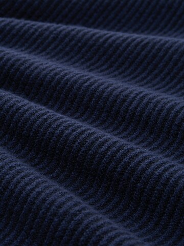 TOM TAILOR Trui in Blauw