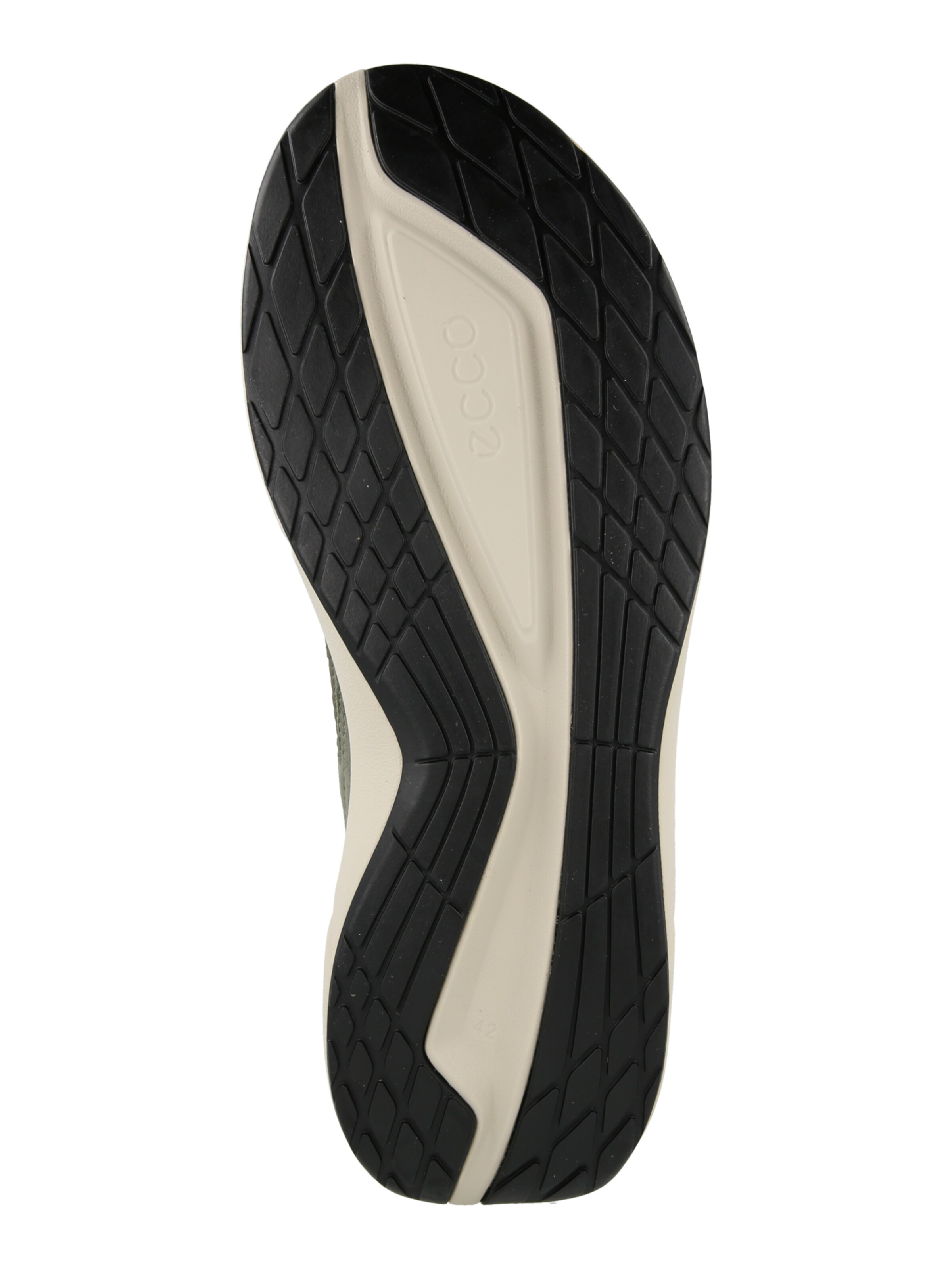 ECCO Nizke superge 'BIOM 2.2' | zelena barva