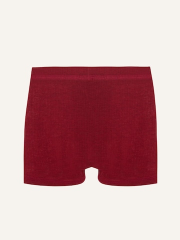 ZUBEK Underpants ''Wool'' in Red
