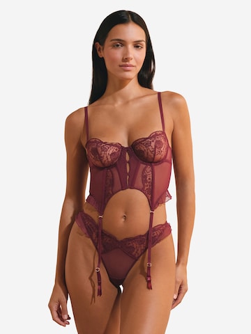 Reggiseno 'Poesie' di ETAM in rosso: frontale