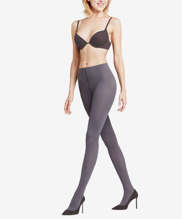 FALKE Fine Tights in Grey: front