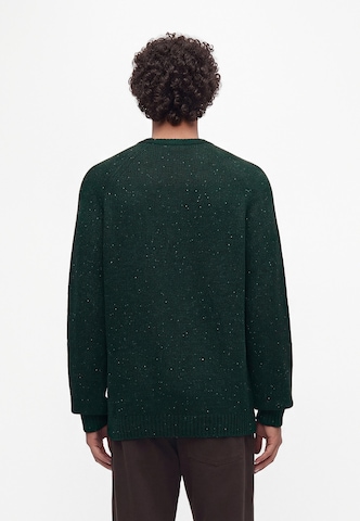 Carhartt WIP Sweter 'Anglistic' w kolorze zielony
