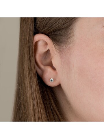 Orolino Ohrringe in Gelb: Vorderseite