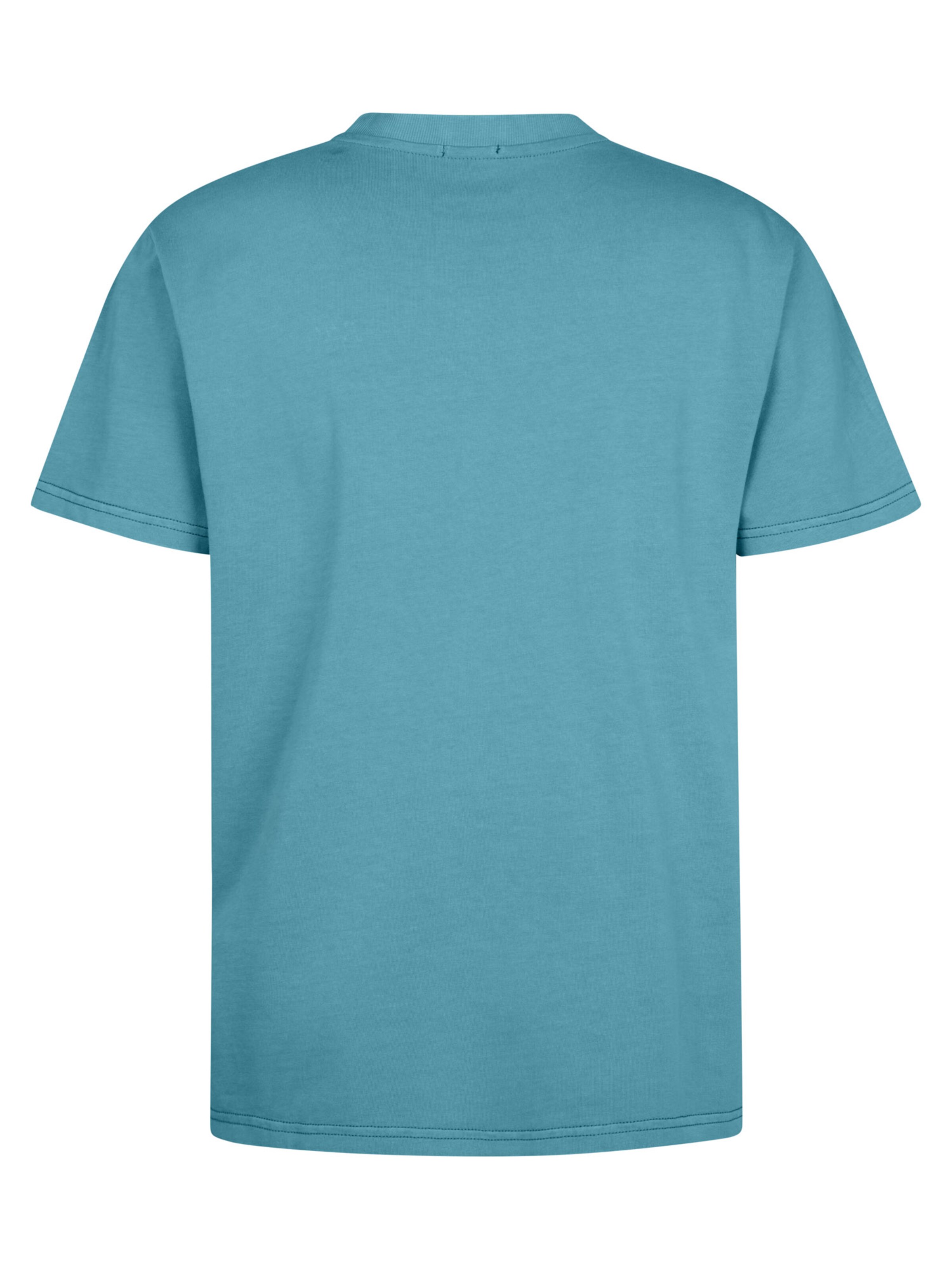 Petrol Industries Shirt in Blauw
