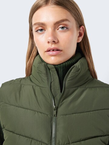 Noisy may Vest 'DALCON' in Green