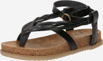 Sandale cu baretă 'FILI' de la Blowfish Malibu pe negru: față