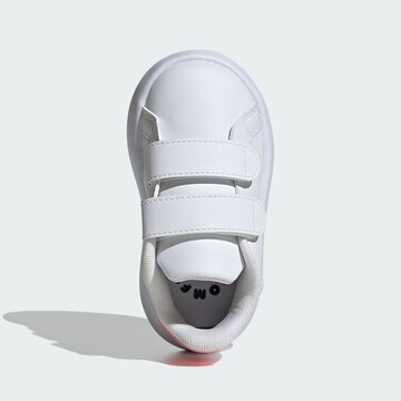 ADIDAS ORIGINALS Trainers 'Advantage' in White