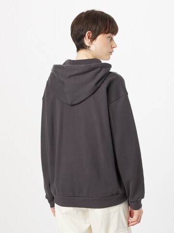 LEVI'S ® Sweatshirt 'Graphic Salinas Hoodie' in Grau