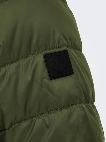 Only & Sons Between-Season Jacket 'Carven' in Green
