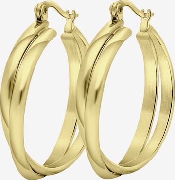 Lucardi Earrings in Gold: front