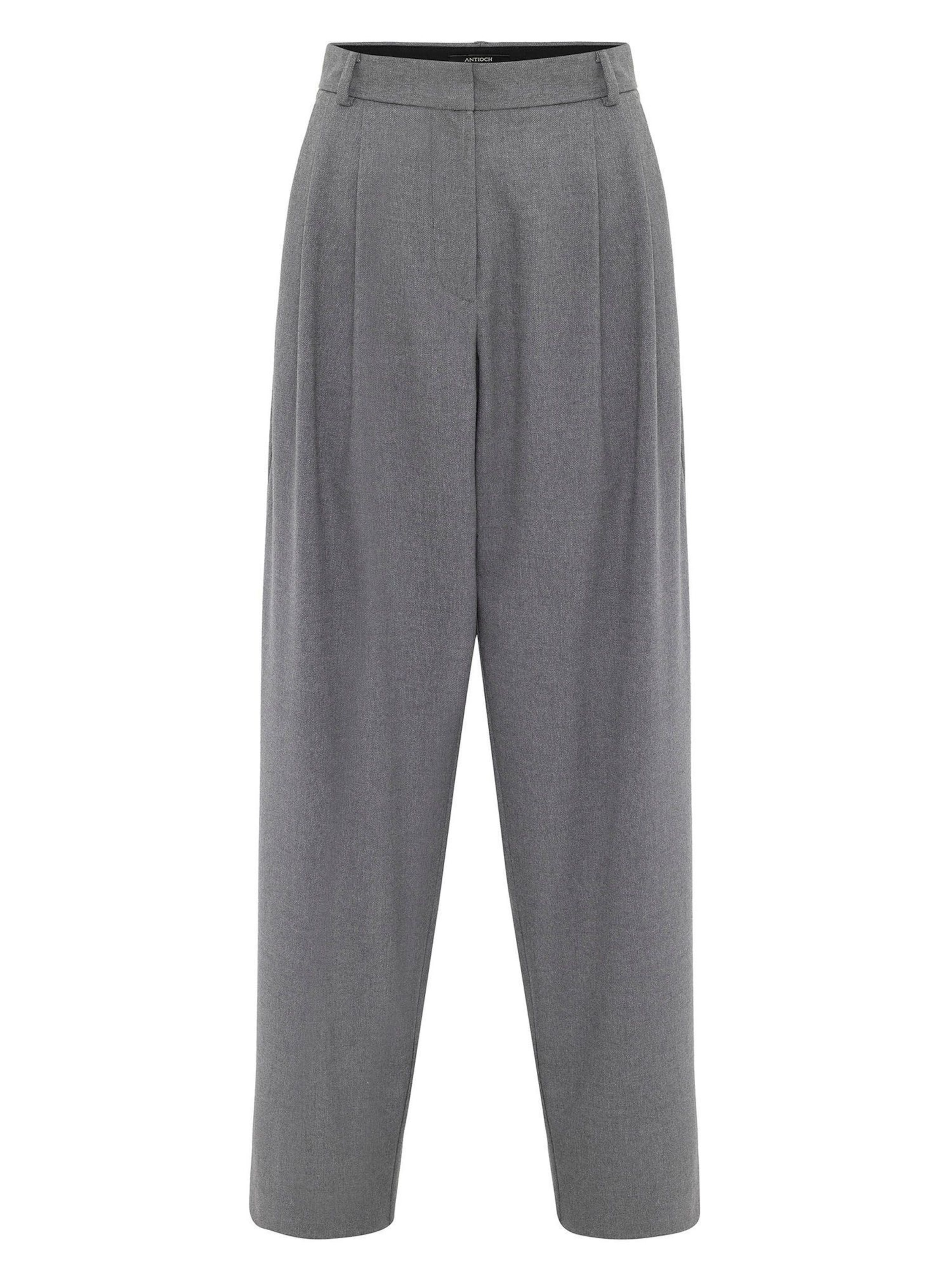 Antioch Regular Pleat-front trousers in Grey: front