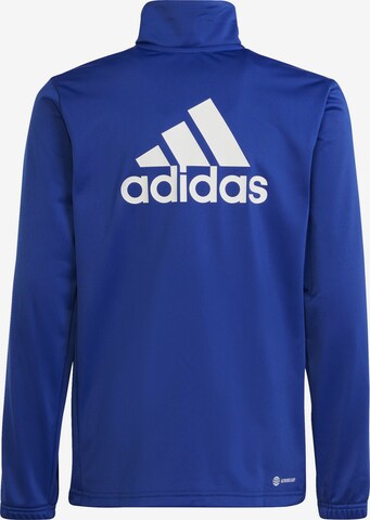 ADIDAS SPORTSWEAR Treenipuku 'Essentials' värissä sininen