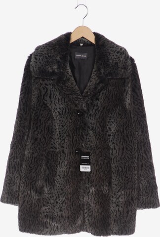 Adagio Jacket & Coat in XL in Grey: front