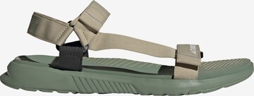 ADIDAS TERREX Wandelsandalen in Groen