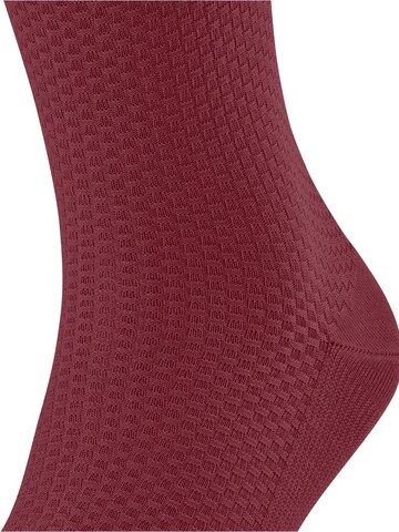 FALKE Socks 'Tiago Special Edition' in Red