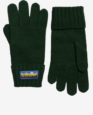 Superdry Full Finger Gloves in Blue: front