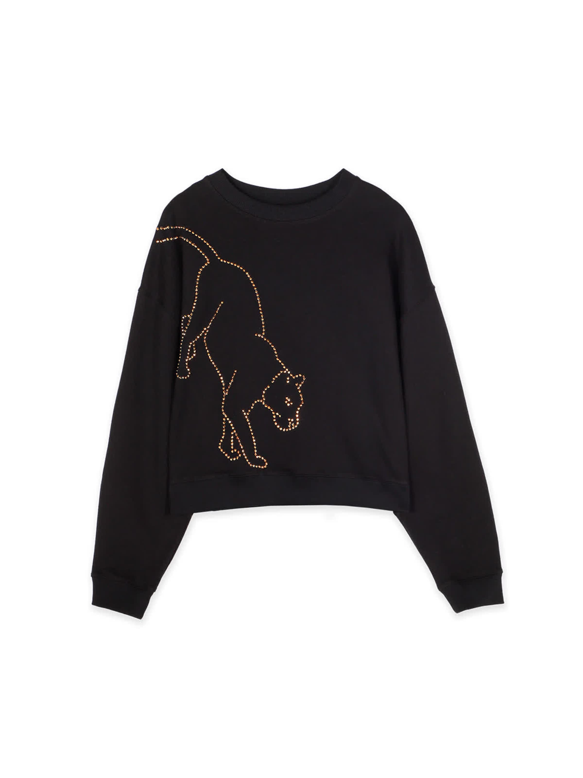 Lola Casademunt Sweatshirt in Black: front