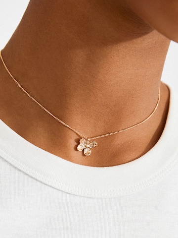 zelts Pilgrim Ķēdīte 'Ajani'