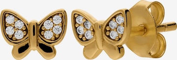 Boucles d'oreilles Lucardi en or : devant