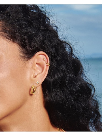 ANIA HAIE Ohrringe in Gold: Vorderseite