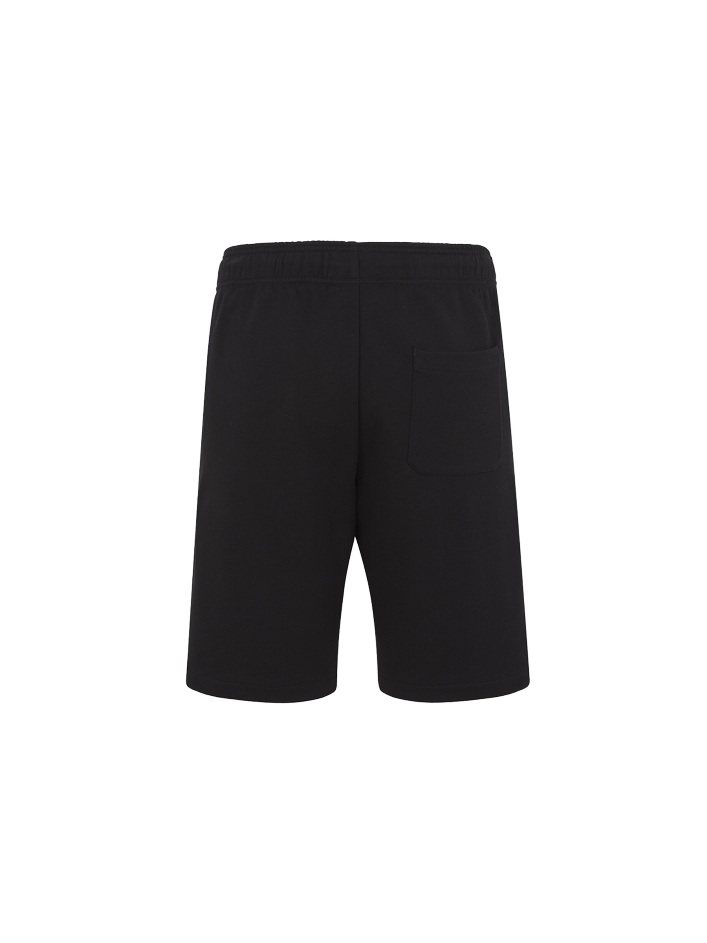 DICKIES Normalny krój Spodnie 'Mapleton' w kolorze czarny