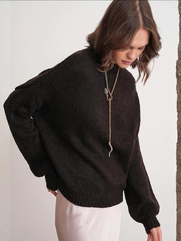 MixRay Pullover 'Pullover'‌‌‌‌‌‌‌‌‌‌ in Braun