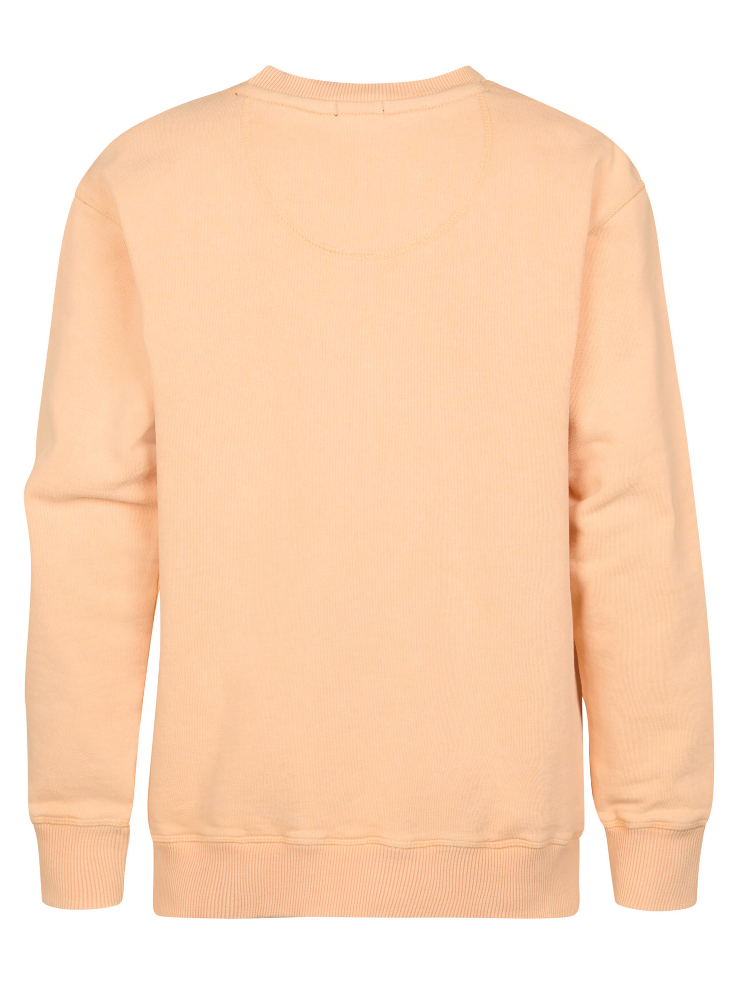 Petrol Industries Sweatshirt 'Ranchero ' in Oranje