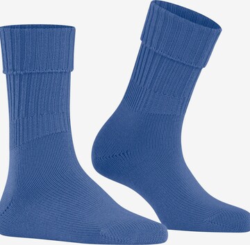 FALKE Socken 'Striggings Rib' in Blau: Vorderseite