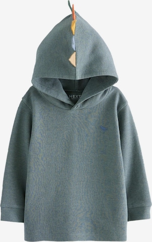 mėlyna Next Megztinis be užsegimo: priekis