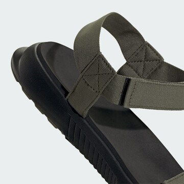 ADIDAS TERREX Sandal 'Hydroterra' in Green