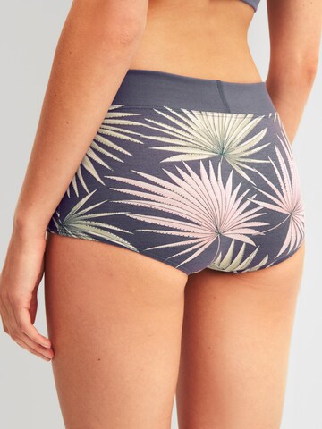 CALIDA Boyshorts 'Elastic Trend Spec.' in Grey