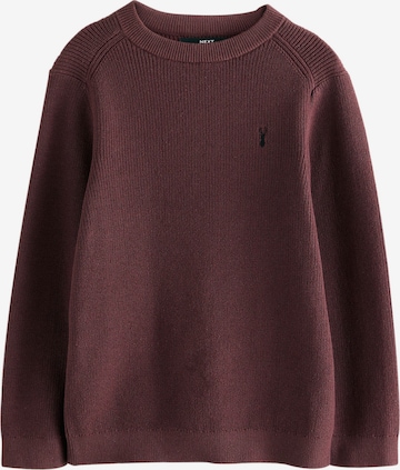 Next Trui in Lila: voorkant