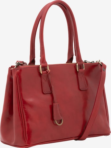 Viola Castellani Crossbody bag in Red: front