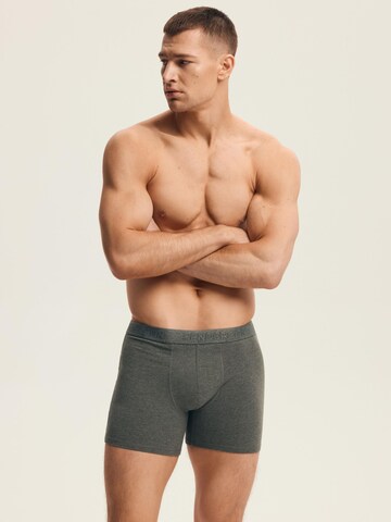 Henderson Boxer shorts 'Move' in Grey