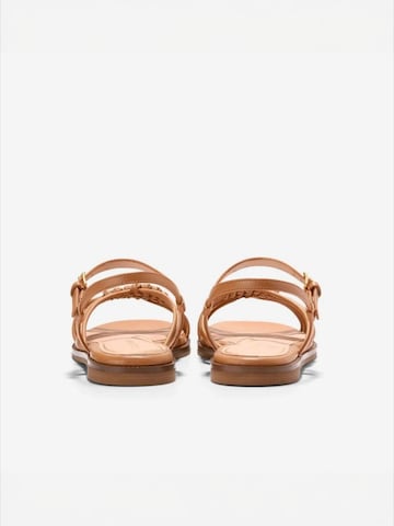 Cole Haan Riemensandale 'JITNEY' in Braun