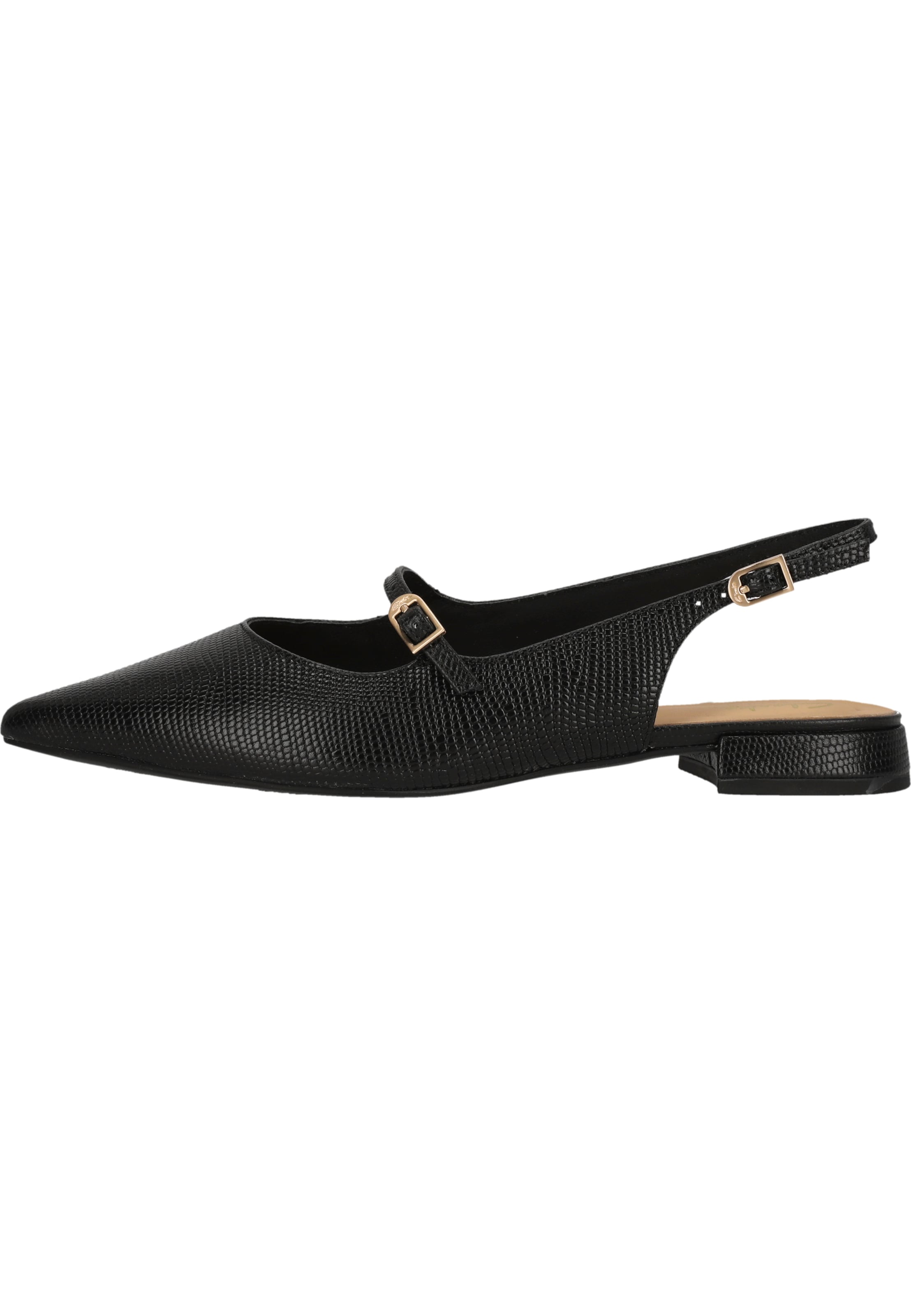 CLARKS Slingback pumps 'Sensa15 Shine' in Black: front