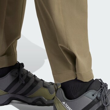 ADIDAS TERREX Regular Sportbroek 'TERREX Liteflex' in Groen