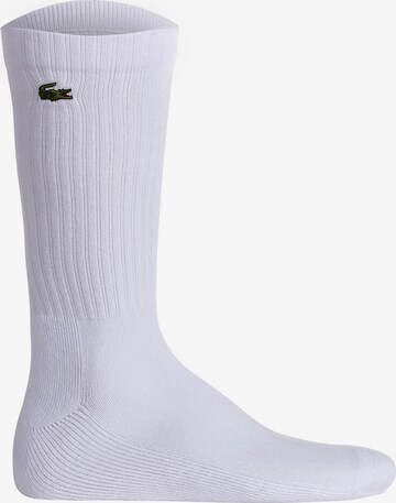 Chaussettes de sport LACOSTE en bleu