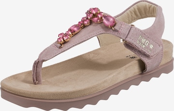 PRIMIGI Sandals in Purple: front