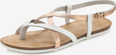 VIVANCE Japanke u rozo zlatna / bijela, Pregled proizvoda