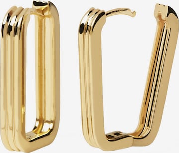 P D PAOLA Earrings in Gold