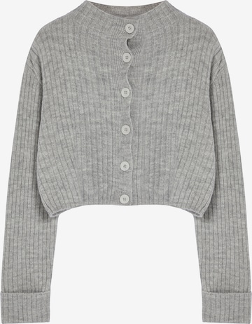 Trendyol Strickjacke in Grau: Vorderseite
