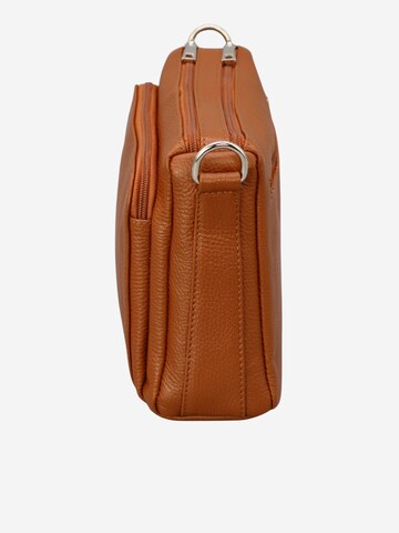 Brise Skuldertaske 'Palma' i brun