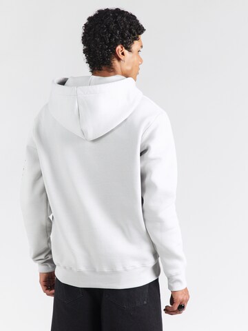 ALPHA INDUSTRIES Sweatshirt i grå