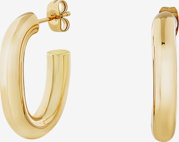 Breil Earrings in Gold: front