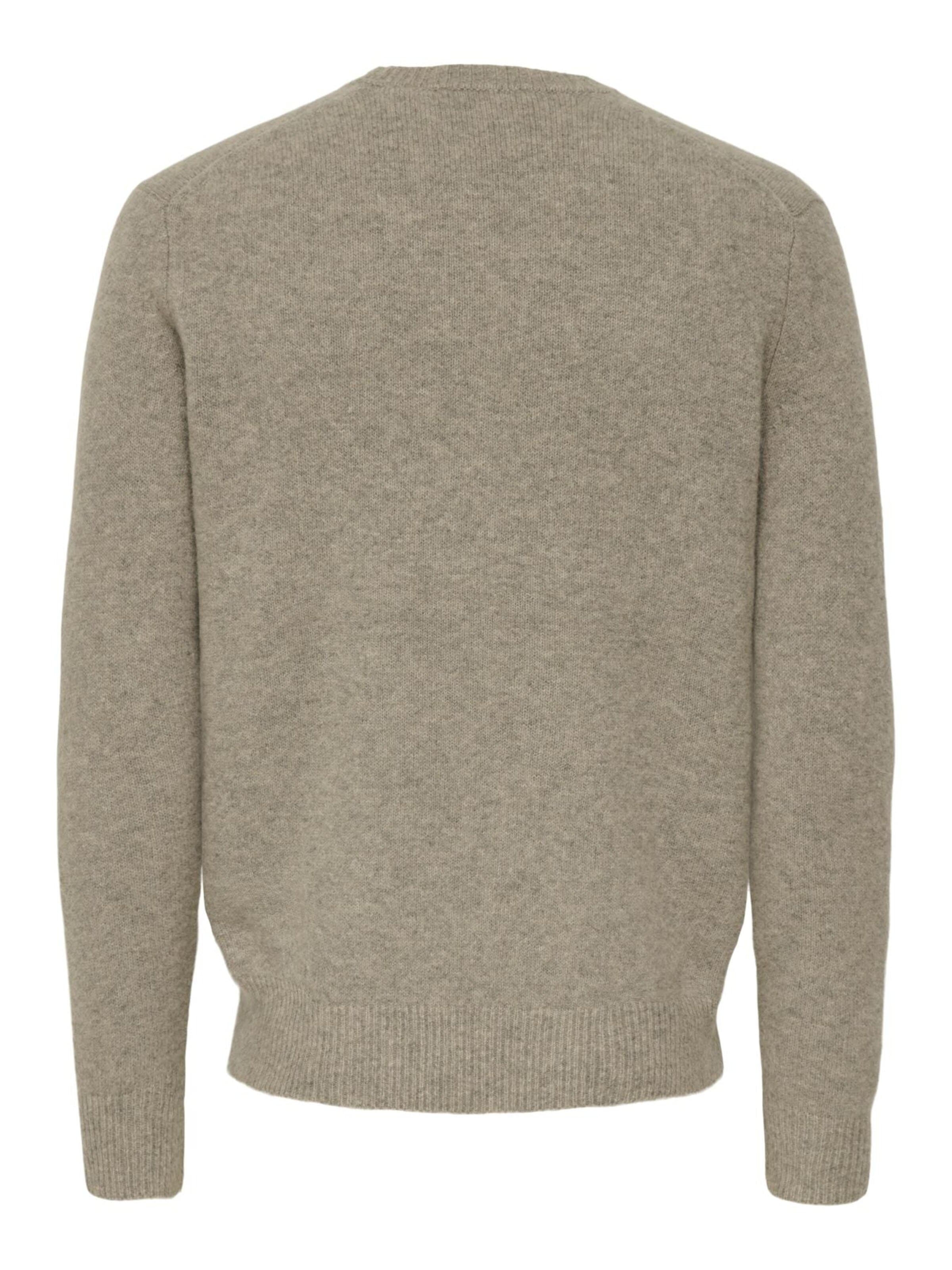 Pullover '22035025' di Only & Sons in beige