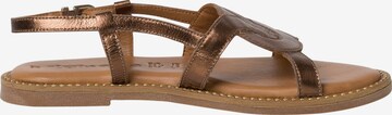 TAMARIS Sandalen met riem in Bruin